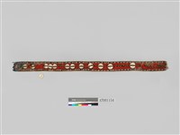 chieftain's ornament made of shell  Collection Image, Figure 22, Total 19 Figures